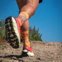 Calzini TRAIL ULTRA HIGH "Belle Île" - Collettore DBDB