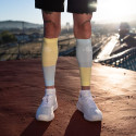 Booster EVOLUTION blue/yellow