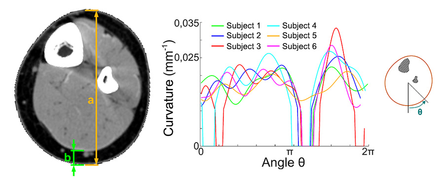 Bandeau_scanner_graphique